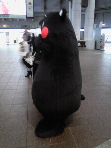くまもん6