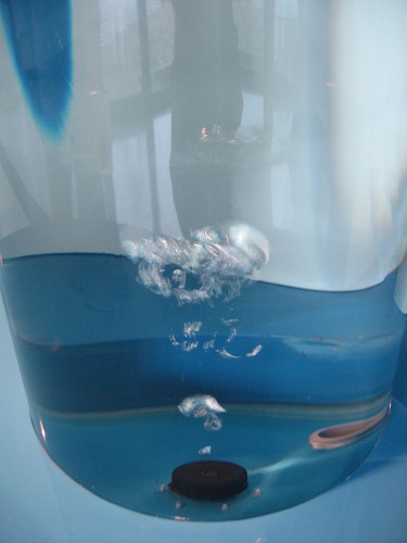 水科学館9