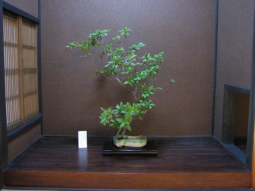 小泉八雲旧宅5