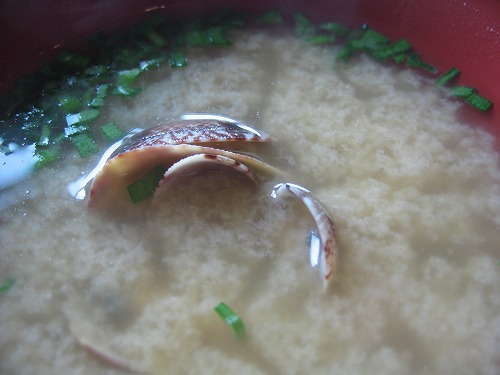 魚米12