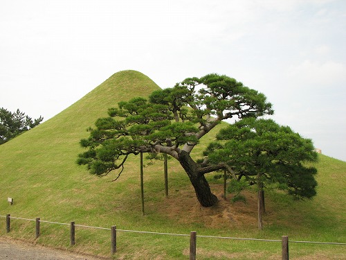 水前寺成趣園14