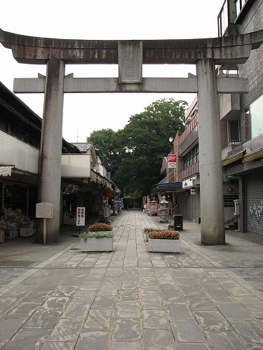 水前寺成趣園参道1