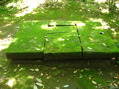 釣耕園8