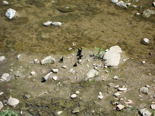 釣耕園18