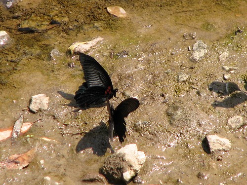 釣耕園20