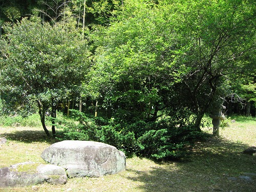 叢桂園5
