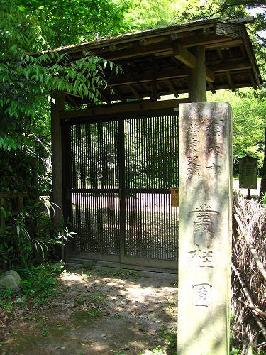 叢桂園3