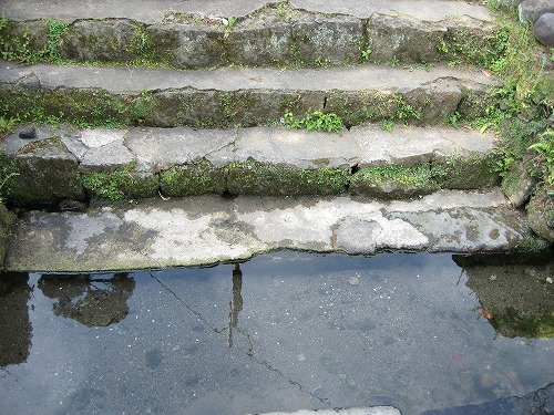 延命水2