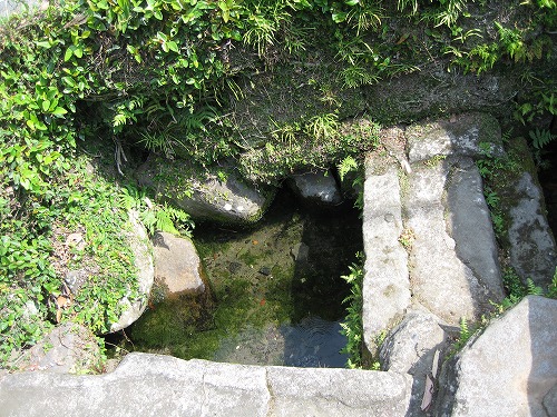 延命水3
