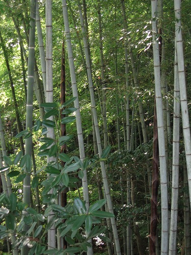 三賢堂7