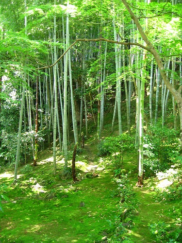 三賢堂8
