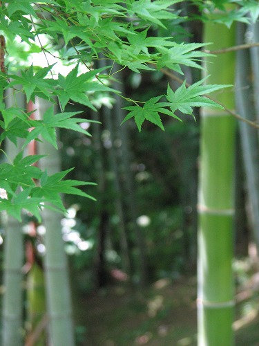 三賢堂14