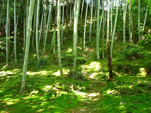 三賢堂5