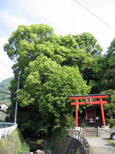 豊川稲荷3