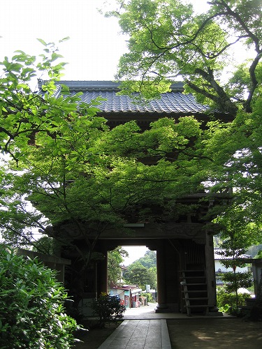 岳林寺22