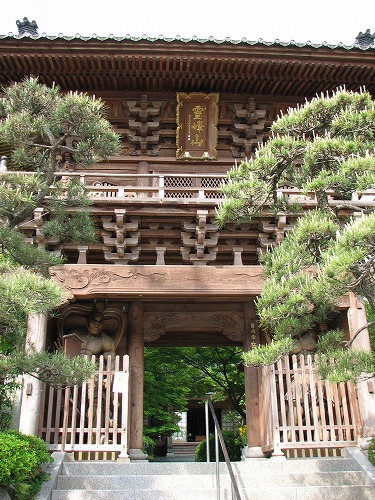 岳林寺5
