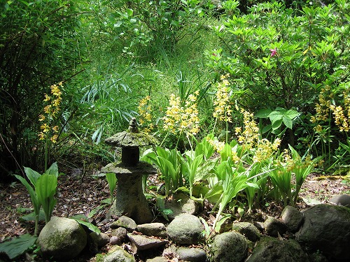 峠の茶屋4