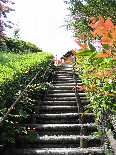 峠の茶屋公園1