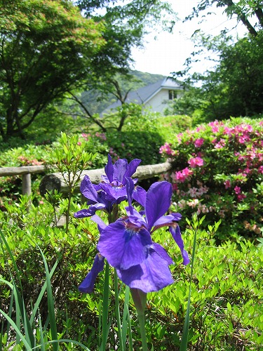 峠の茶屋公園27