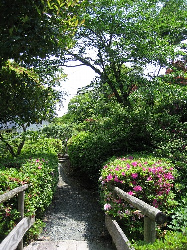 峠の茶屋公園28