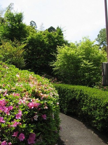 峠の茶屋公園24