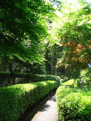 峠の茶屋公園23