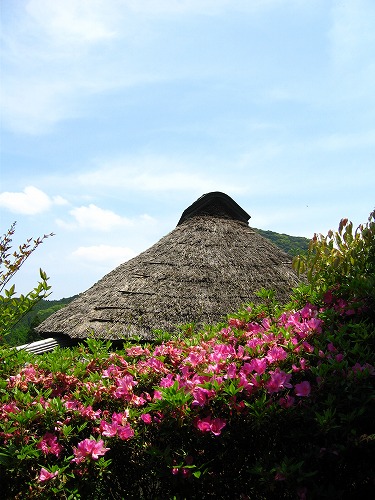 峠の茶屋公園22
