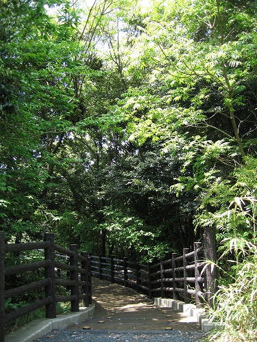 岩戸の里公園10