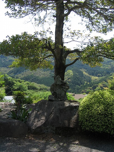 霊巌禅寺12