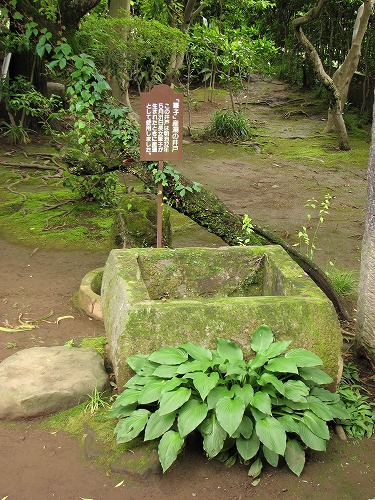 内坪井旧庭5