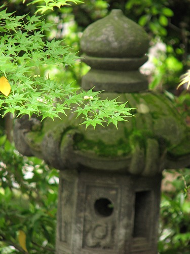 内坪井旧庭6