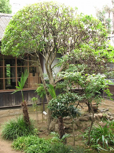 後藤是山記念館5