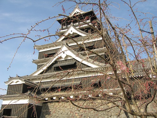 桜4