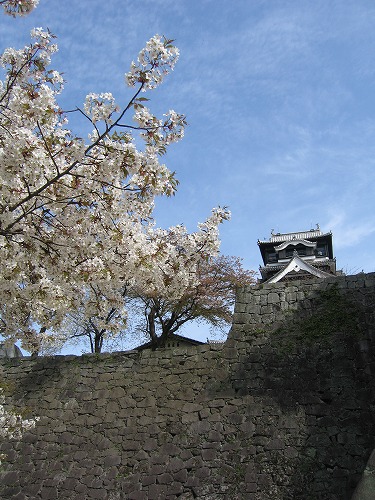 桜28
