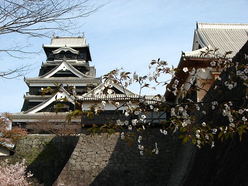 桜21