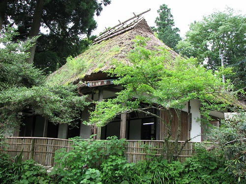 五老ヶ滝10