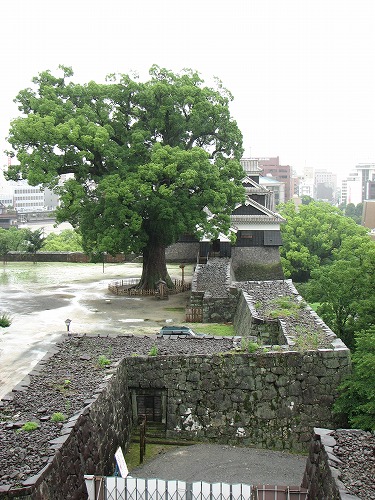 飯田丸4