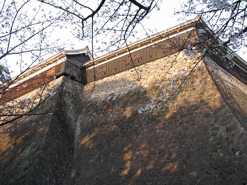 櫓10