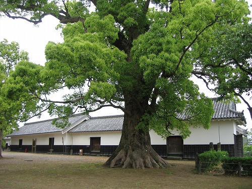 諸櫓1