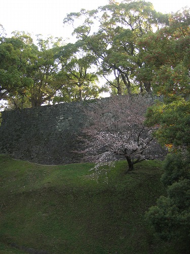 お堀14