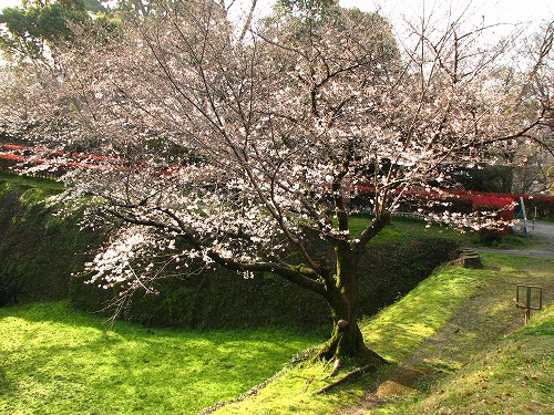 お堀10