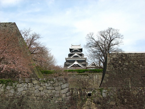 竹の丸6