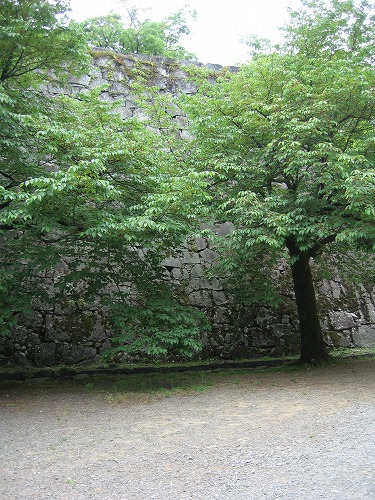 質部屋跡11