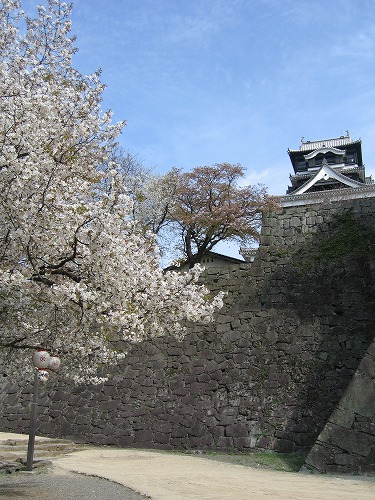 質部屋跡13