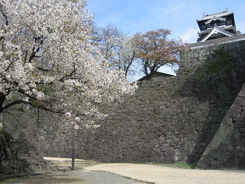 質部屋跡3