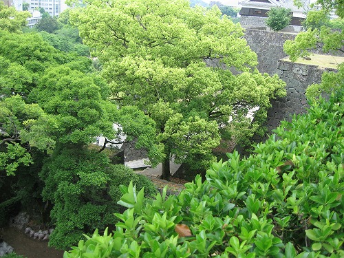 五間櫓跡3
