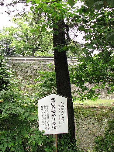 加藤神社9