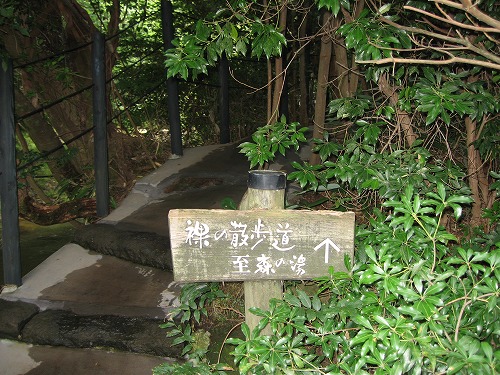 山みず木7