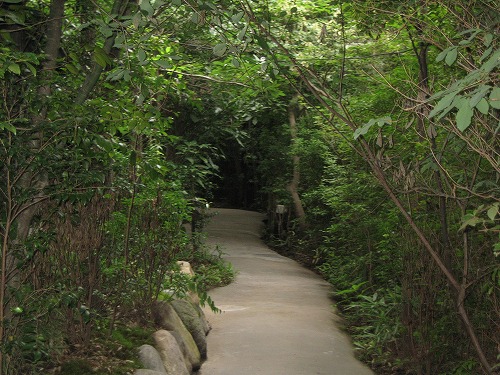 山みず木10