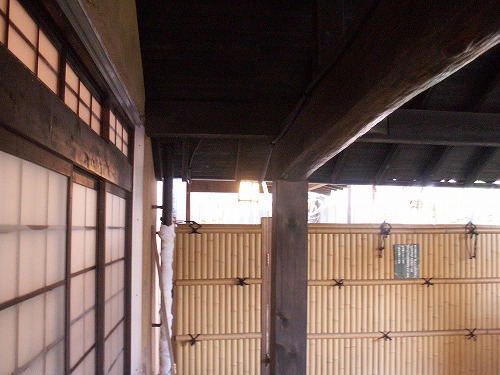 わかば14